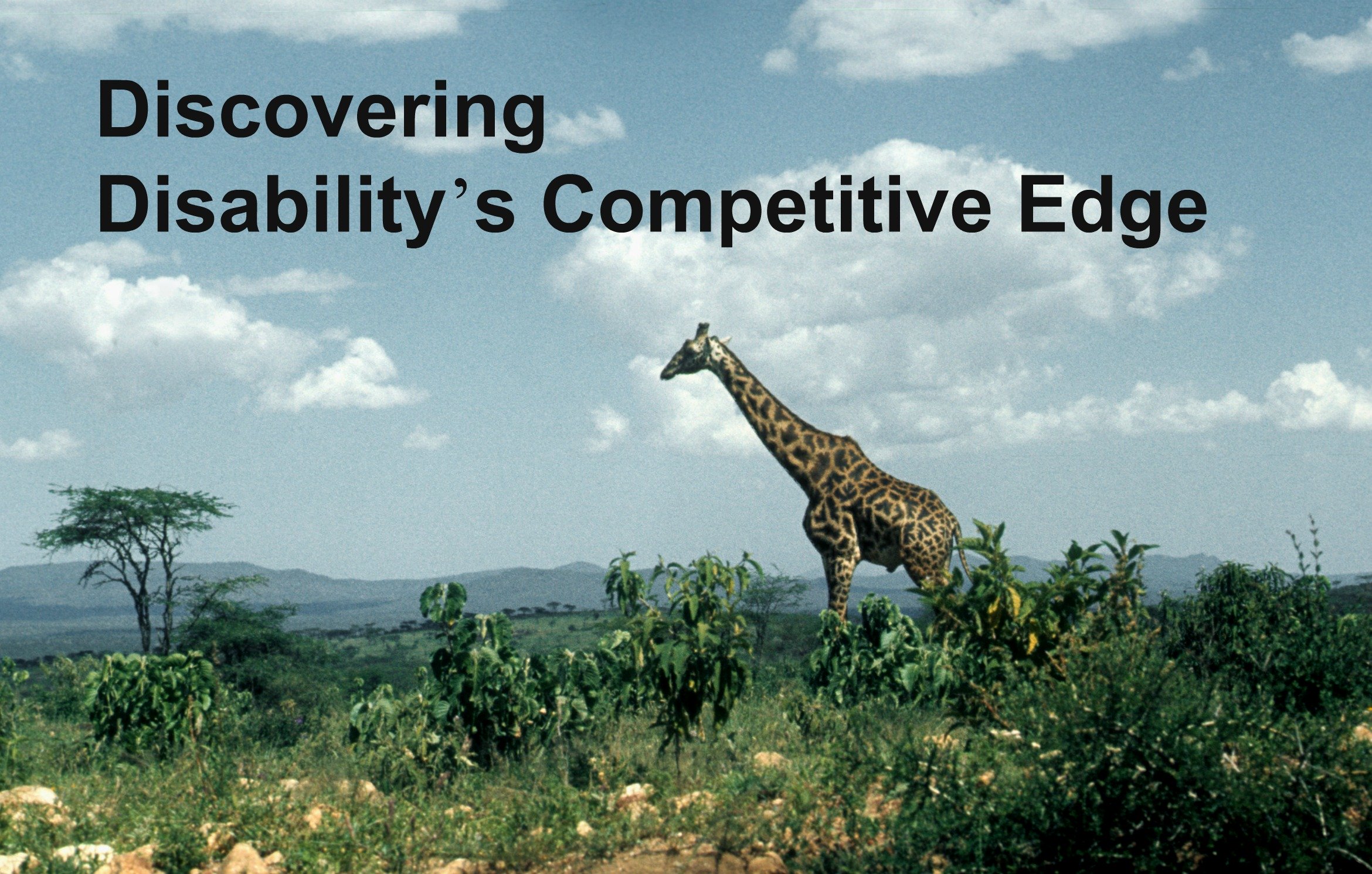 Giraffe in the wild in Africa, towering above tress; Caption reads: "Discovering Disabilitiy's Competitive Edge"